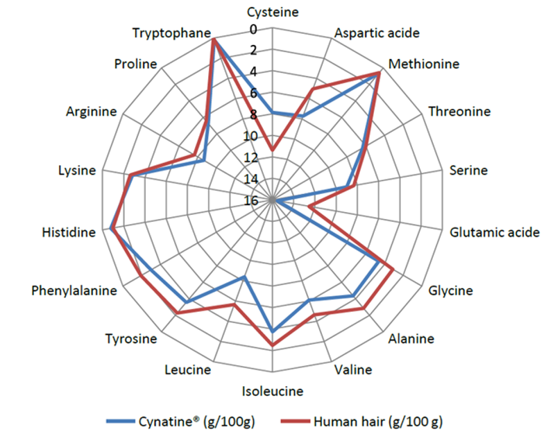 figure 4 profil en acides aminés de Cynatine® et d'un cheveu humain